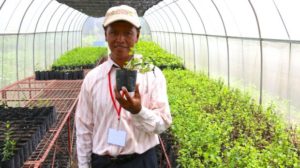 Personal Agricol Calificat Asia